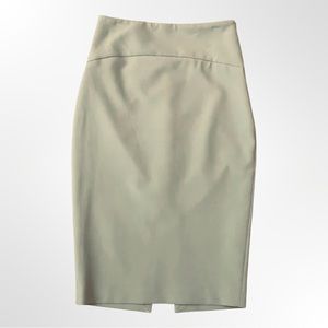 Mint Green Express Pencil Skirt